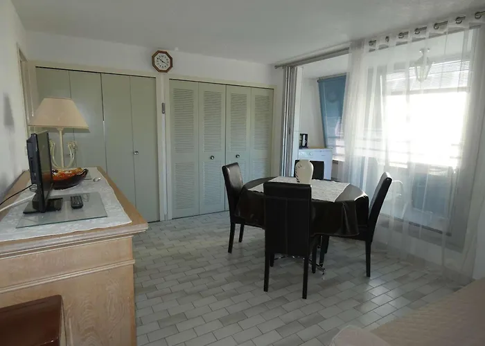 Bel 2 Pieces Avec Loggia Vitree, Au Calme, Proche Et Commerces, Parking Inclus - Fr-1-328-237
